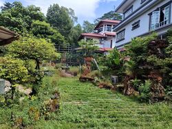 Woodlands Park (D25), Semi-Detached #447407541